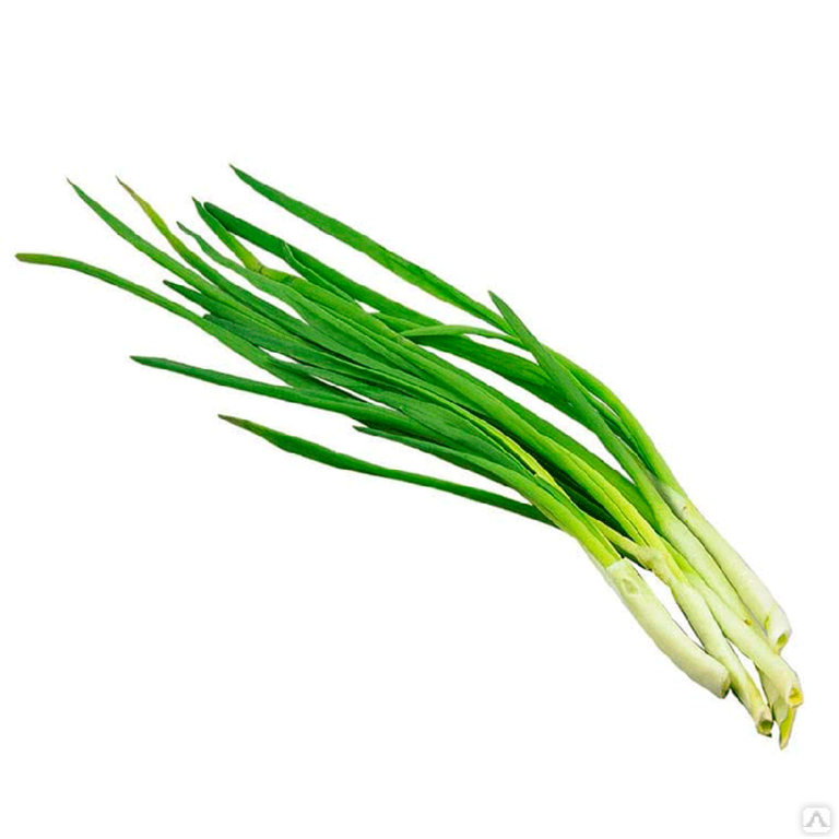 Лук зеленый 100 гр. "Вологодская зелень"
