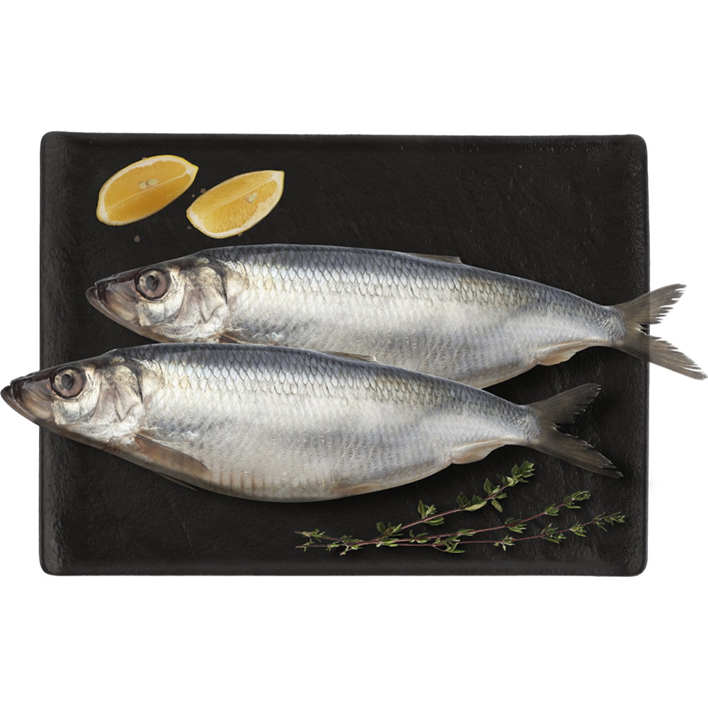 Сельдь Атлантическая 300+ н/р тушка в/у, кг /ООО ОКЕАН/