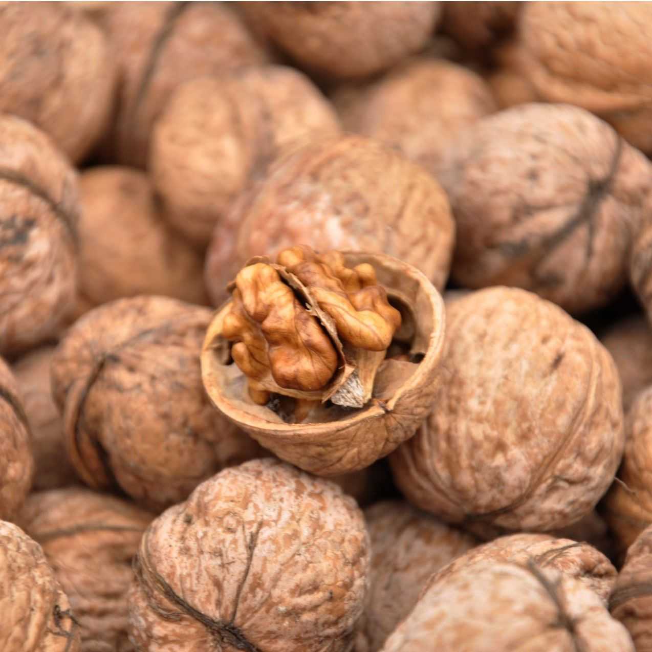 Грецкий орех в скорлупе ЧИЛИ, кг